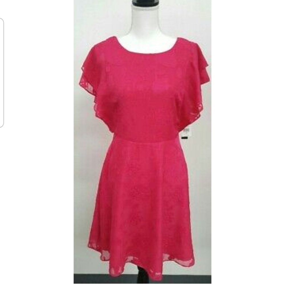 NWT Ruffle frill sleeve hot pink fit & flare dress